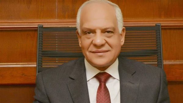 محافظ الجيزة 