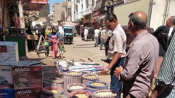 حملات تفتيشية بالمنيا