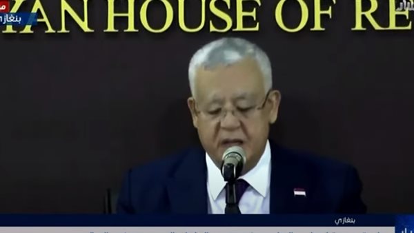 المستشار حنفي جبالي