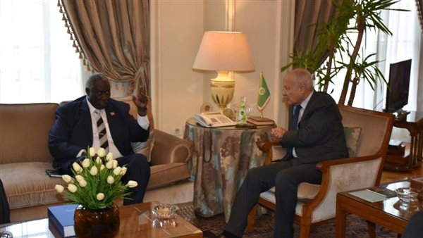 أحمد أبو الغيط ومالك