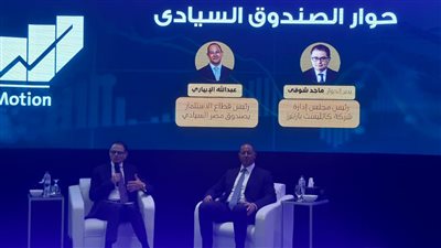 الصندوق السيادي: نتواصل مع الصناديق الأجنبية لاستغلال فوائضها المالية في السوق المصري