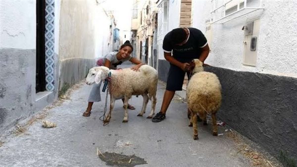 موعد عيد الأضحى 2023