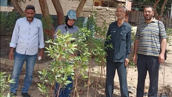 زراعة الأشجار بأسيوط