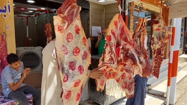 مياه الفيوم تكثف