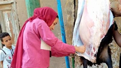 أصغر جزارة بسوهاج: تعلمت المهنة من والدي.. والزباين بيتعاملوا معايا بكل احترام | صور