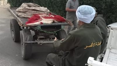 حملات مكثفة لرئاسة مدينة الأقصر لإعادة الانضباط للشوارع│ صور