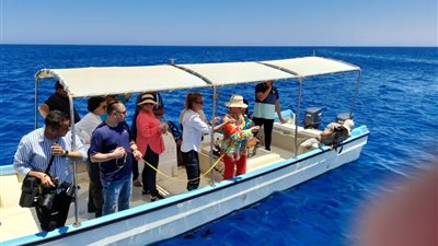 وزيرة البيئة تشهد أولى جلسات التدريب العملي لتحليل سلوك القروش بالبحر الأحمر | صور