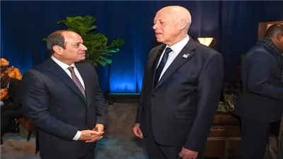 السيسي يلتقي قيس سعيد ويؤكد دعم مصر لتونس خلال الظرف الدقيق الراهن