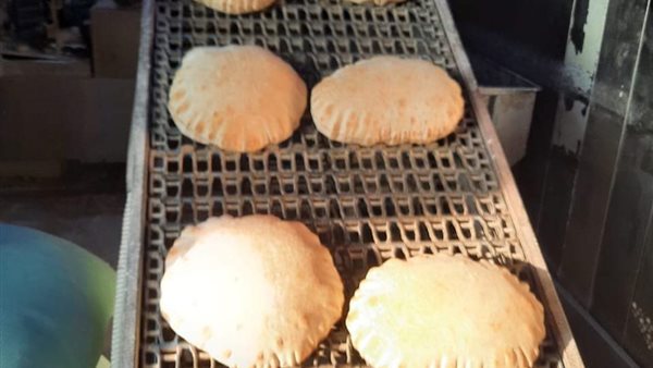 جانب من الحملة 