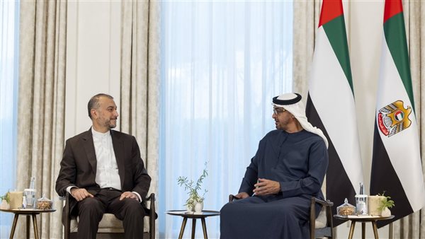 بن زايد ووزير الخارجية