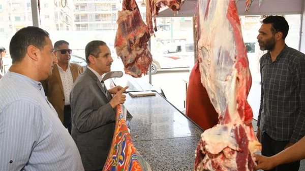 محافظ الغربية يتابع