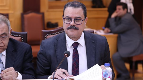  الدكتور محمد الشربيني