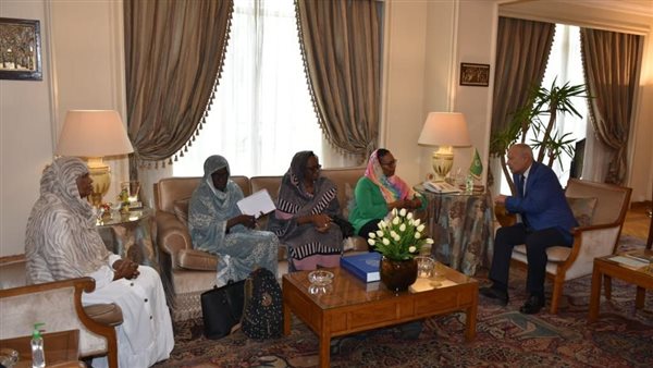 أبوالغيط يلتقي الوفد