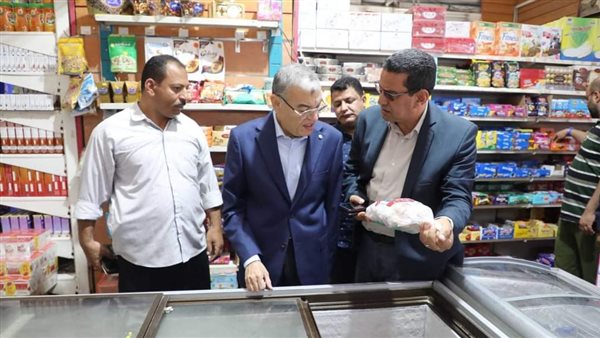 محافظ المنيا