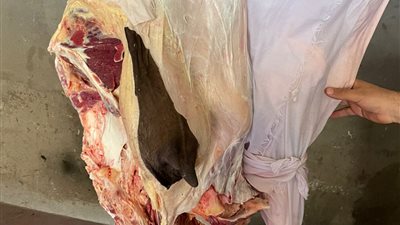 ضبط مواد غذائية خلال حملة لهيئة سلامة الغذاء بالدقهلية 