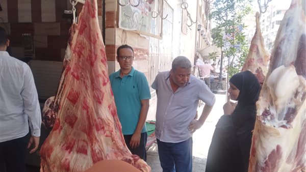 حملات الطب البيطري