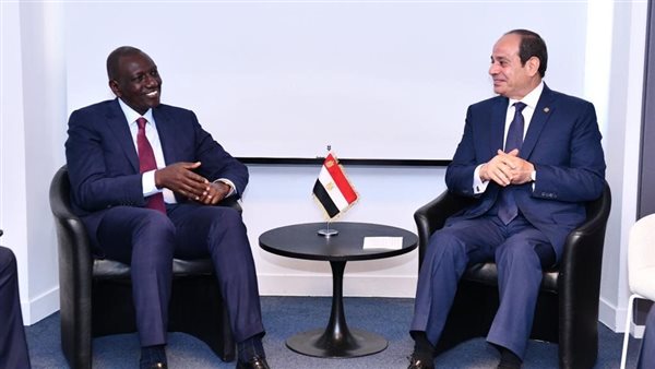 الرئيس السيسي ونظيره