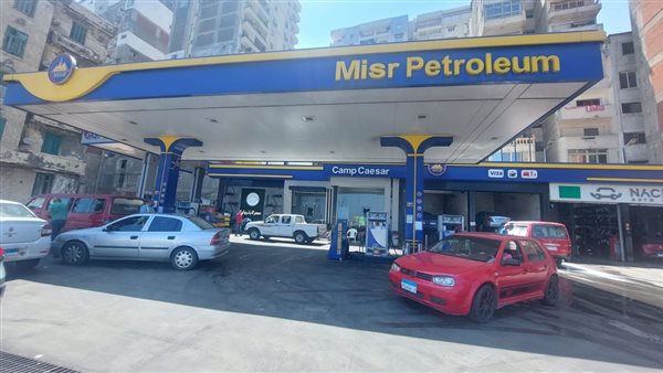 توافر المواد البترولية