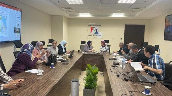 المخططات الاستراتيجية