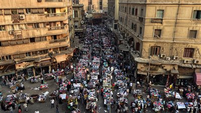 الإحصاء: 4000 مولود يوميا خلال الشهر الأخير.. وتعداد السكان يتخطى 105 ملايين نسمة