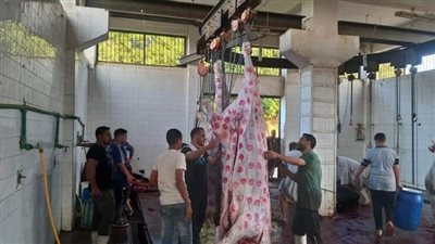 محافظ المنيا: فتح 38 مجزرا لذبح الأضاحي مجانا على مستوى مراكز المحافظة