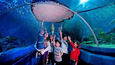 فسحتك عندنا في العيد.. القاهرة 24 دليلك لأماكن الخروج بالغردقة خلال إجازة عيد الأضحى | صور