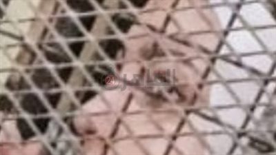 أوهموه بعلاقة غير شرعية وقتلوه.. ننشر صور المتهمين بقتل الطبيب الثري بالتجمع الخامس