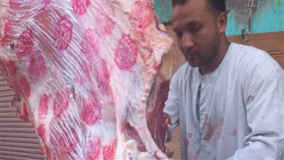 قبل العيد.. استمرار فتح منافذ بيع اللحوم والأضاحي بأسعار مخفضة في المنيا