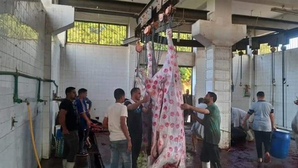 محافظة المنيا