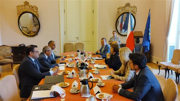 مشاورات سياسية مصرية