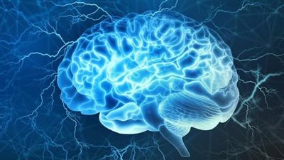 كيف يتخلص المخ من الفضلات؟ دراسة حديثة تجيب
