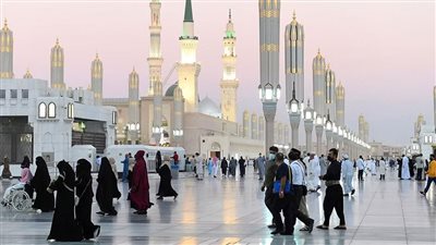 هل يجب زيارة مساجد المدينة المنورة؟.. دار الإفتاء توضح 