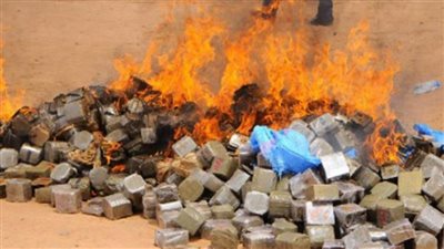  بمناسبة اليوم العالمي لمكافحة المخدرات.. الشرطة البرتغالية تحرق 6 أطنان من الكوكايين والحشيش