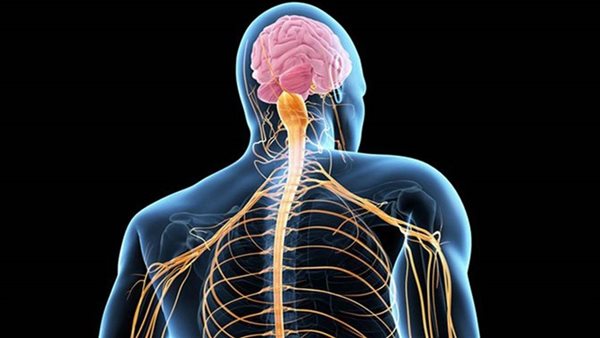 التصلب الضموري 