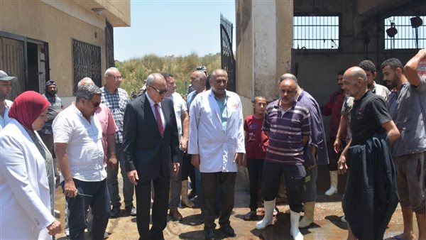 محافظ القليوبية 