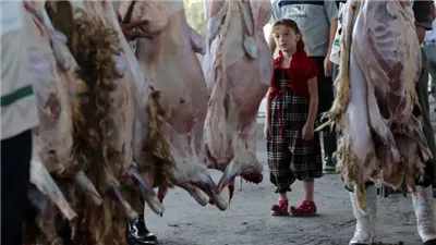 تعرف على حكم من قص أظافره خلال الأضحية.. وهذا موقف النساء