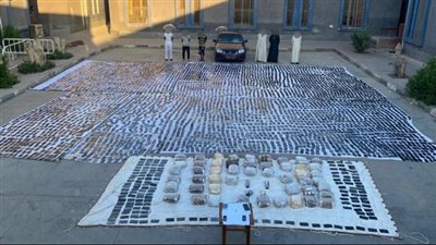 المؤبد لمتهم حاول تهريب المخدرات من منفذ الرسوة الجمركي ببورسعيد و6 سنوات لـ سائق المركبة 