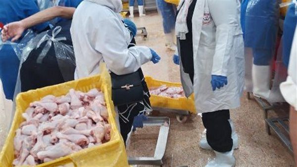 جانب من الحملات