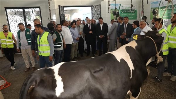 محافظ بني سويف يشهد