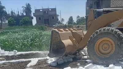 محافظ المنيا: إزالة 41 حالة تعد على الأرض الزراعية وأملاك الدولة في 7 مراكز 