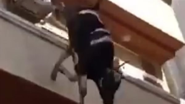 سقوط عجل من أعلى