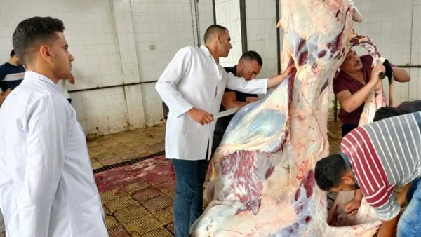 ذبح الأضاحي 