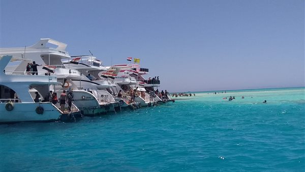 5405 زائر لمحميات