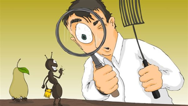 التخلص من حشرات الصيف