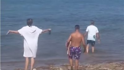 حقيقة ظهور سمكة قرش في العين السخنة | خاص