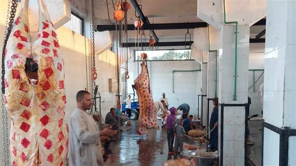 المجازر - أرشيفية