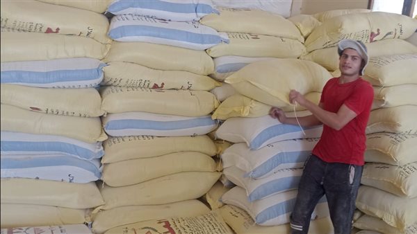 حملة تموينية بأسيوط