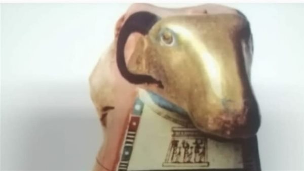 كبش محنط مغطى بقناع