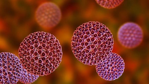 داء الأبواغ