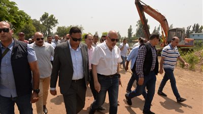 وزير الري: زراعة 1.6 مليون فدان أرز لتحقيق الاكتفاء الذاتي 